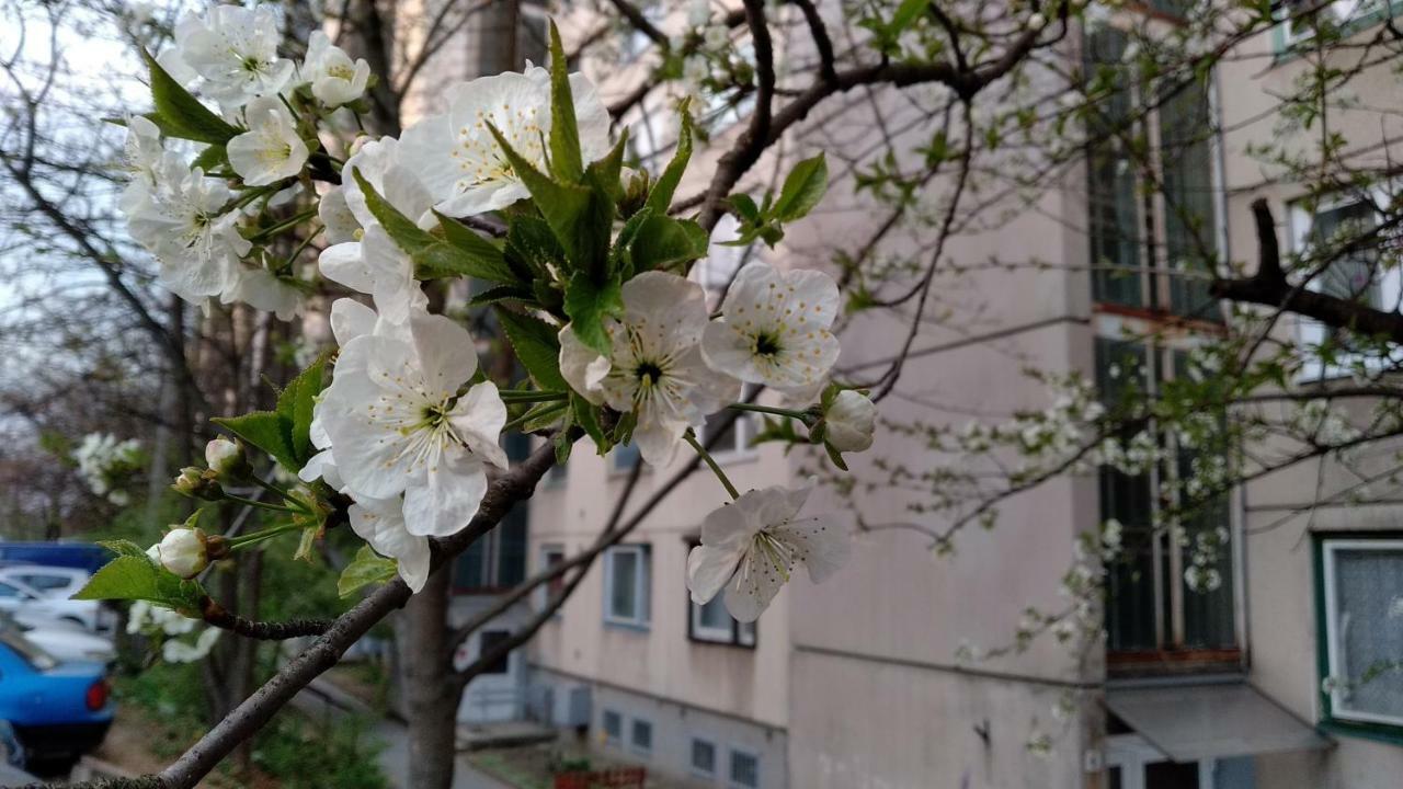 Gesztenyes Apartman Мішкольц Екстер'єр фото